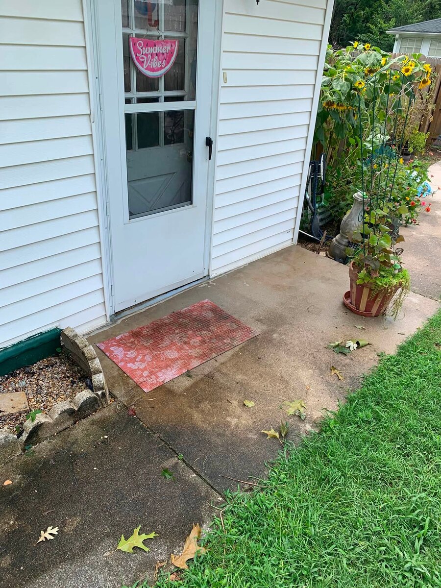 A back door, siding and concrete stoop all cleaned