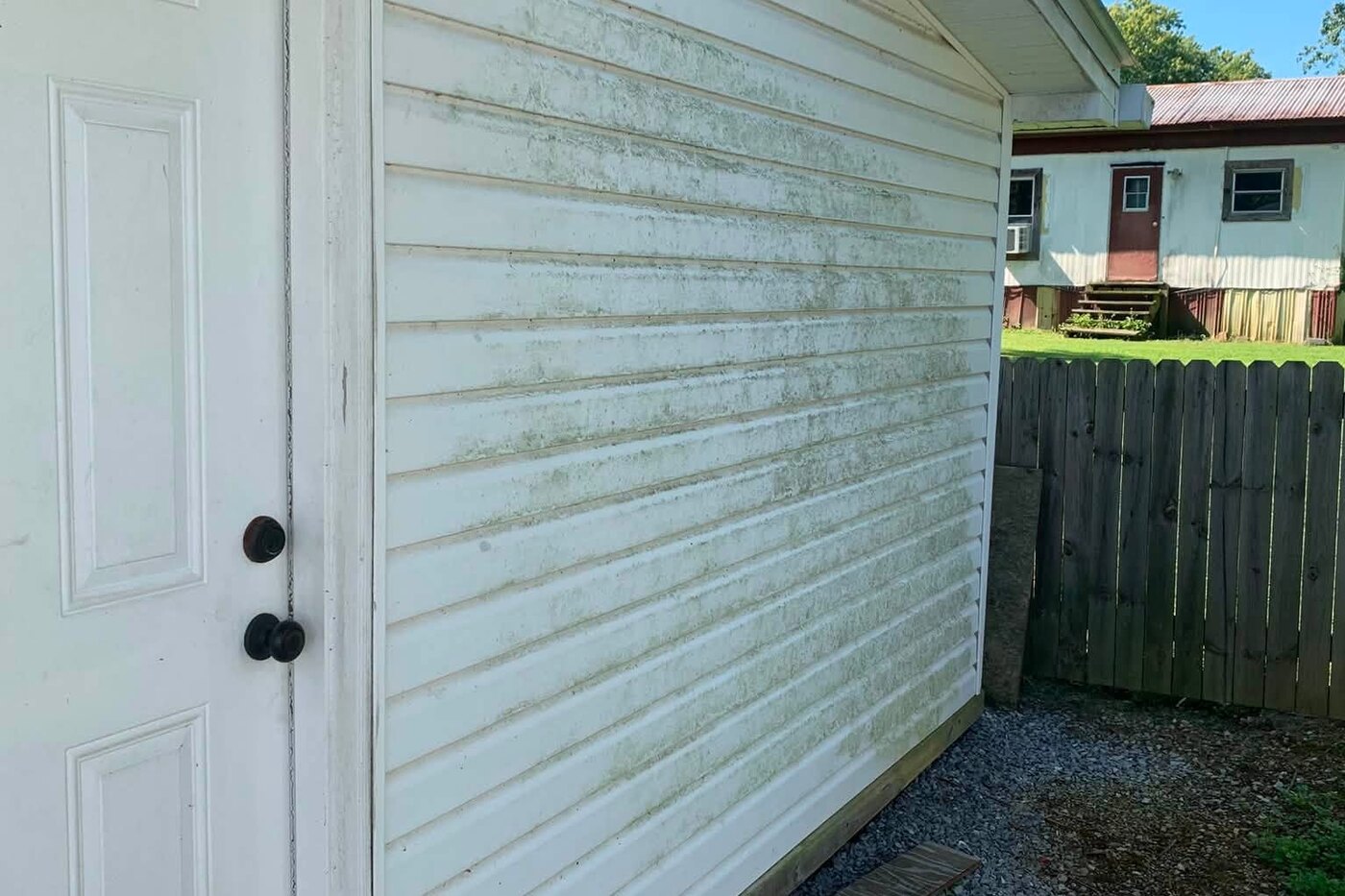 A narrow alley between a shed and a fence, the white siding heavily streaked with green algae